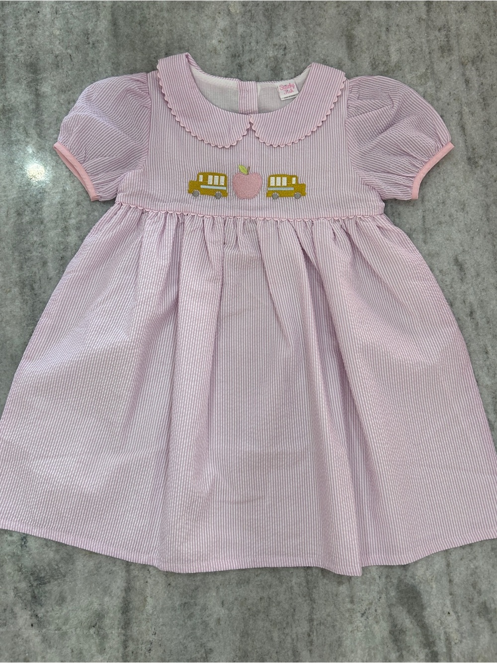 Stitchy Fish Pink School Time Seersucker Embroidered Dress Size 6